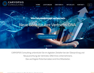 Website Baz und Beienburg